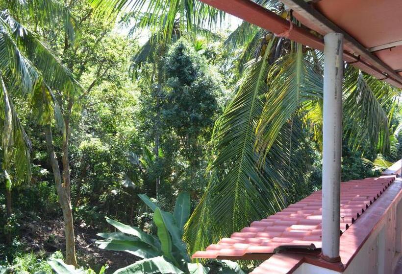 ベッドアンドブレックファースト Hansa Villa