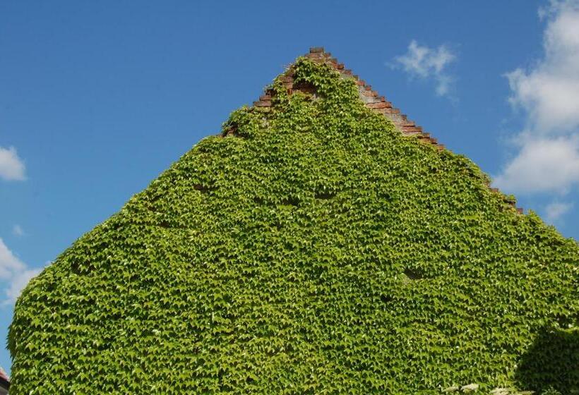 住宿加早餐  Hofgassl Zentgraf