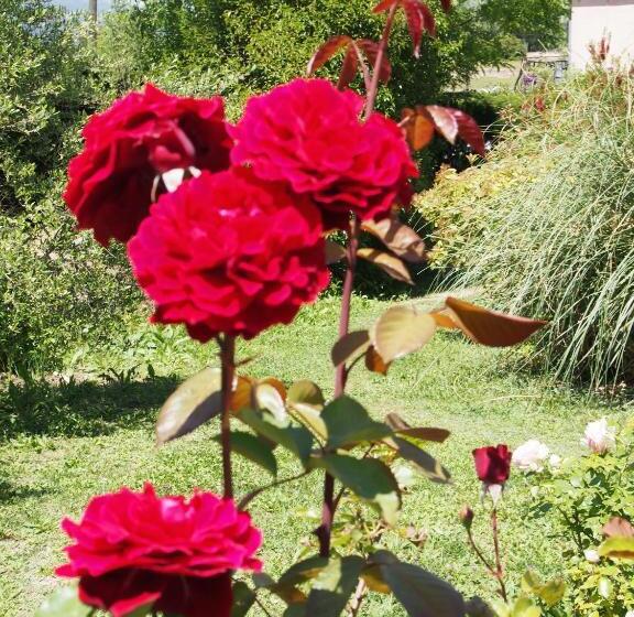 ベッドアンドブレックファースト Les Agaves