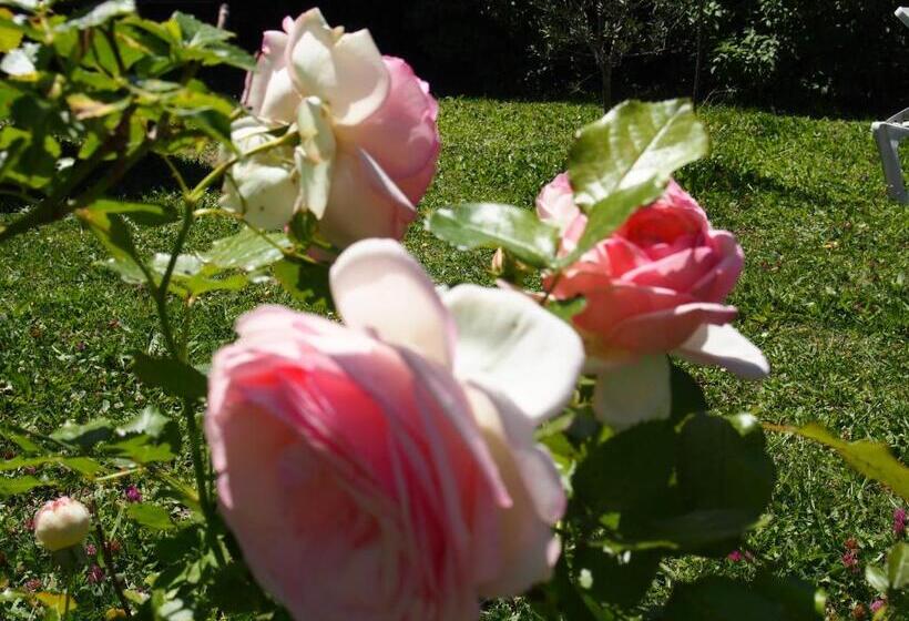 ベッドアンドブレックファースト Les Agaves