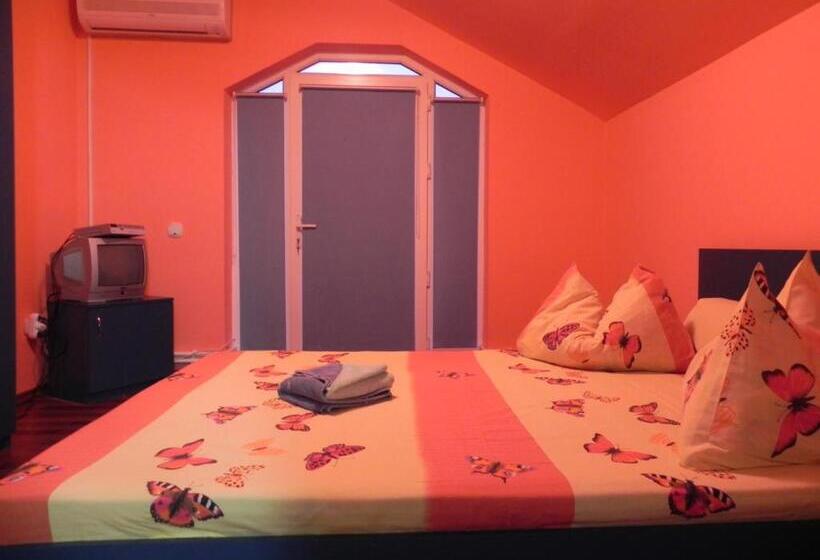 住宿加早餐  Pension Puiu