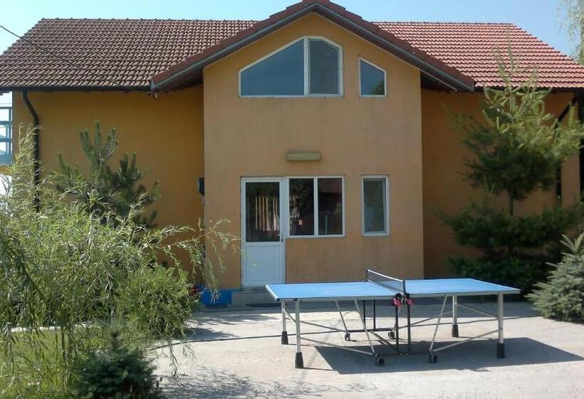 住宿加早餐  Pension Puiu