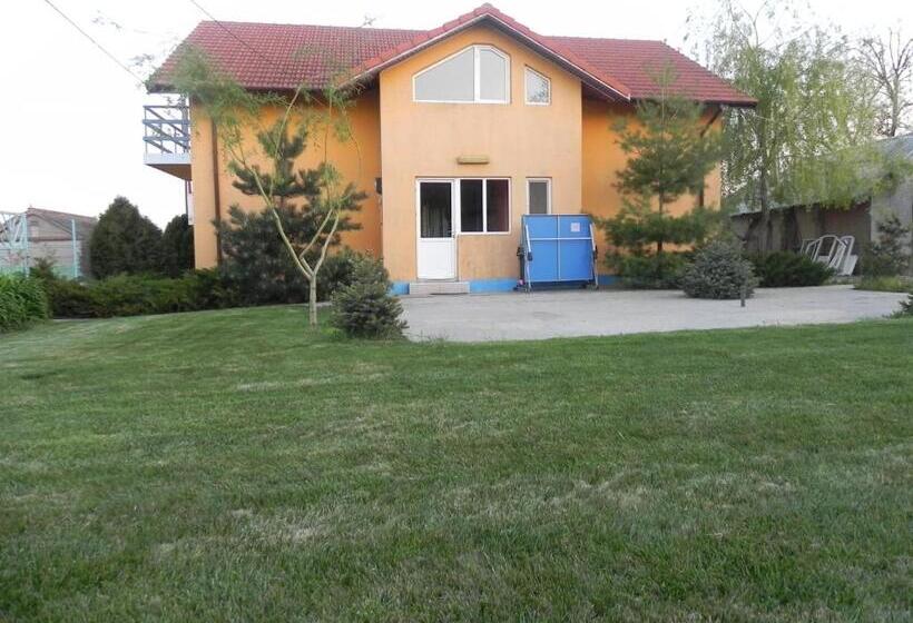 住宿加早餐  Pension Puiu