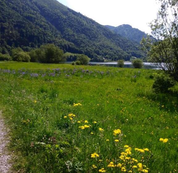 مبيت وإفطار Privatzimmer Eva Leitgeb