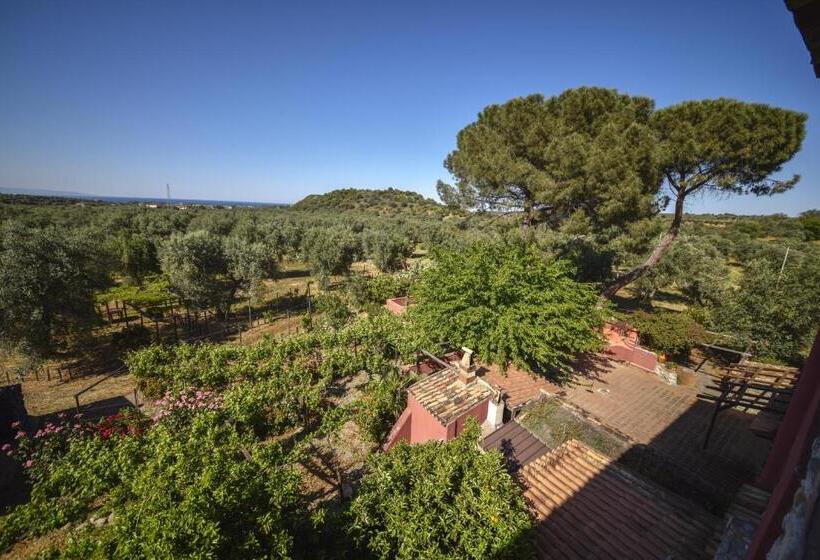 ベッドアンドブレックファースト Tenuta Terrarossa