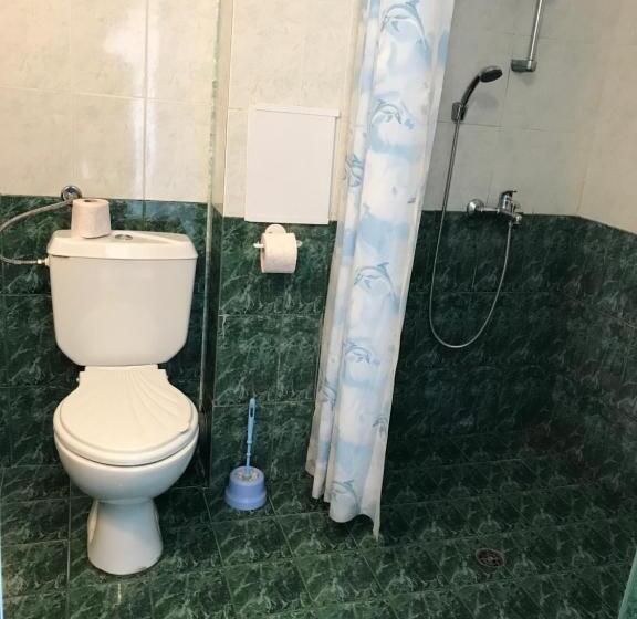 Family Hotel Sinemoretz