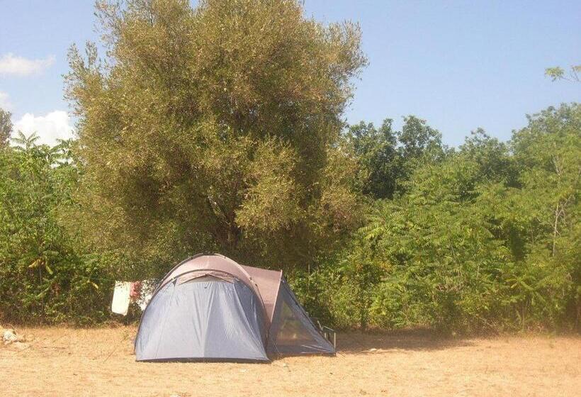 酒店 Agriturismo Residenza Nakelia