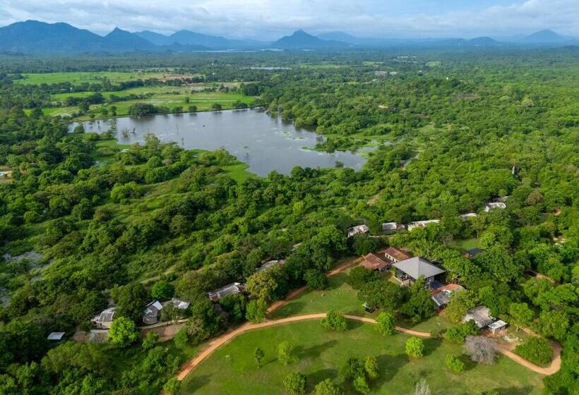 Отель Ayugiri Ayurveda Wellness Resort Sigiriya