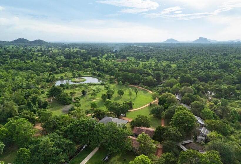 Отель Ayugiri Ayurveda Wellness Resort Sigiriya
