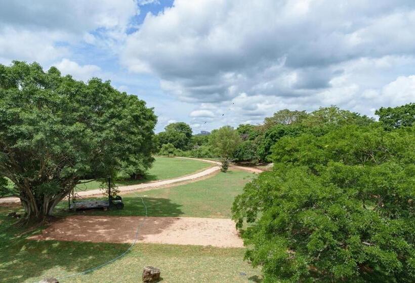 Отель Ayugiri Ayurveda Wellness Resort Sigiriya