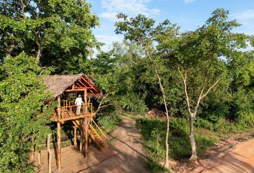 Отель Ayugiri Ayurveda Wellness Resort Sigiriya