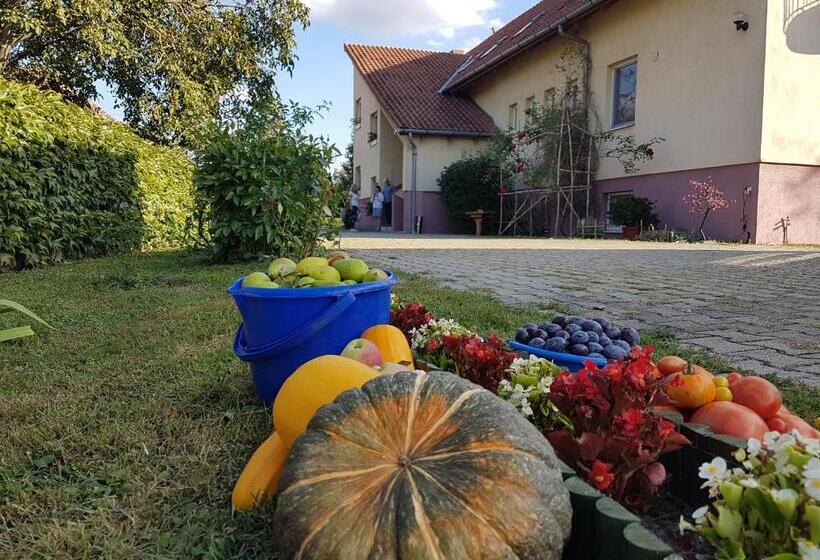 هتل Ingrid Panzió