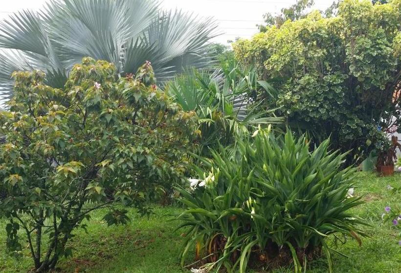 ホテル Parador Del Gitano