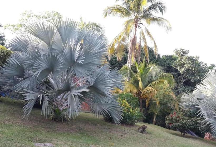 ホテル Parador Del Gitano