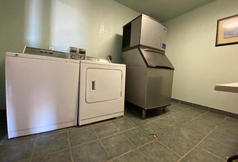 호텔 Quality Inn & Suites