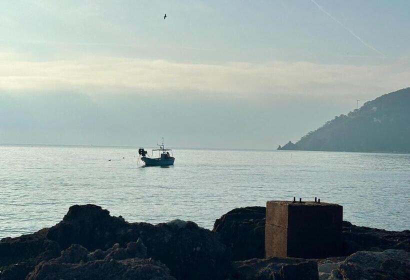 Отель Riviera Beach