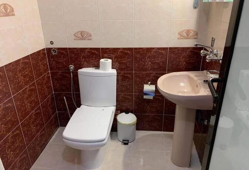 בית מלון כפרי Rony