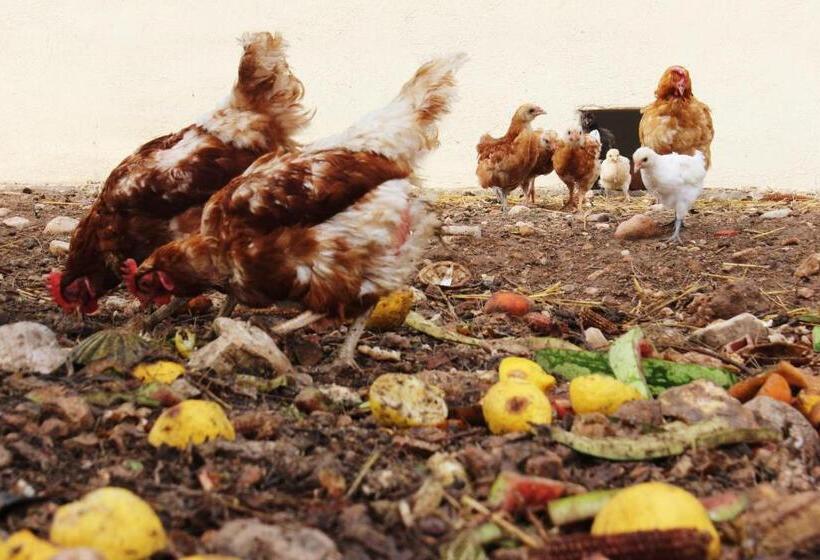 בית מלון כפרי Torre Forcheron