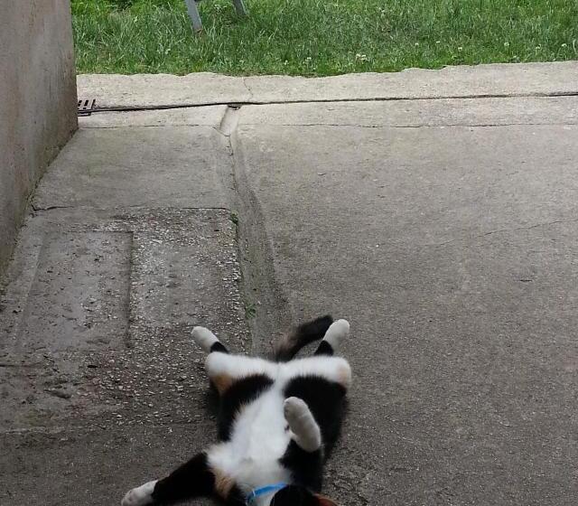 پانسیون Guest House Konjic