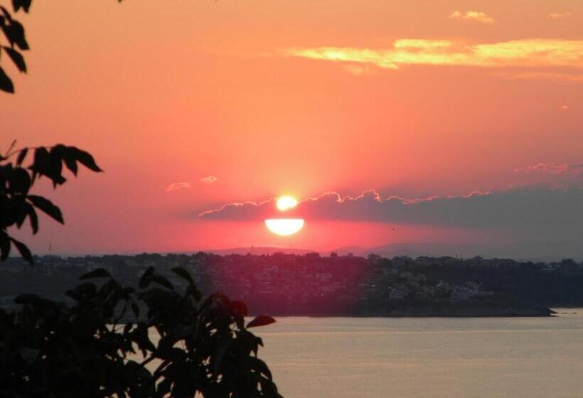 פנסיון Guest House Maggy