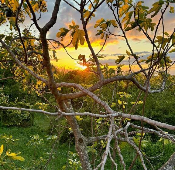 پانسیون Guesthouse Green Istria