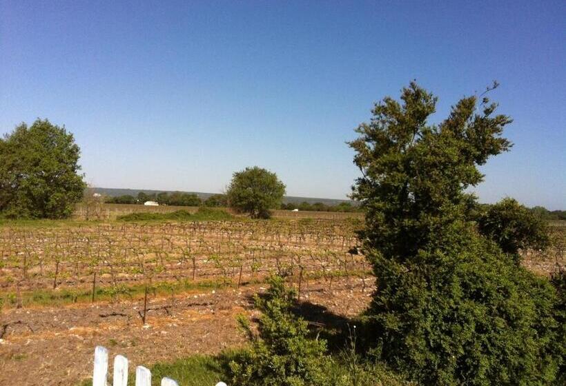 بنسيون Les Coquettes