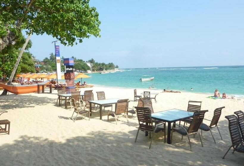 膳宿费 Moon Light Rest