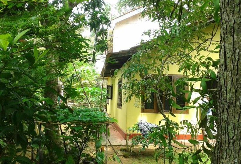 膳宿费 Moon Light Rest