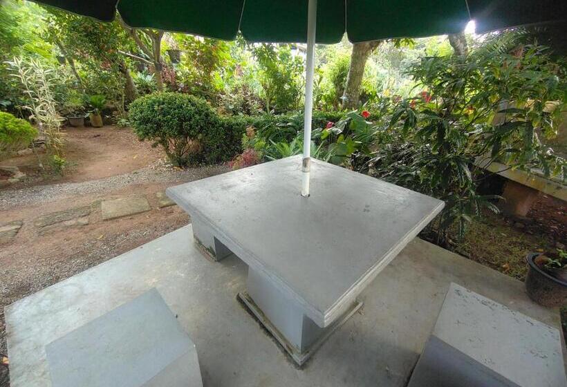 膳宿费 Moon Light Rest