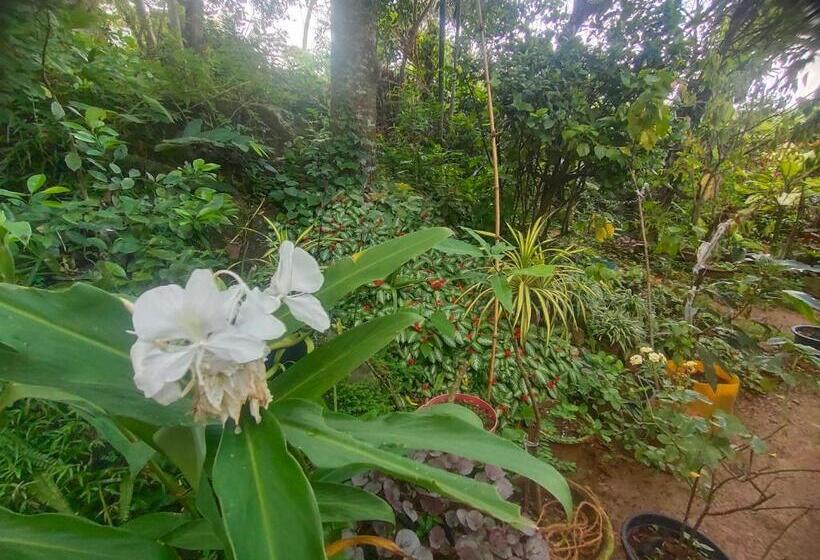 膳宿费 Moon Light Rest