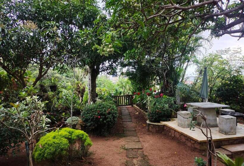 膳宿费 Moon Light Rest