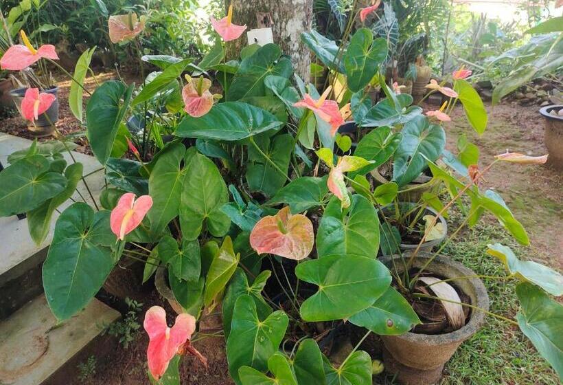 膳宿费 Moon Light Rest