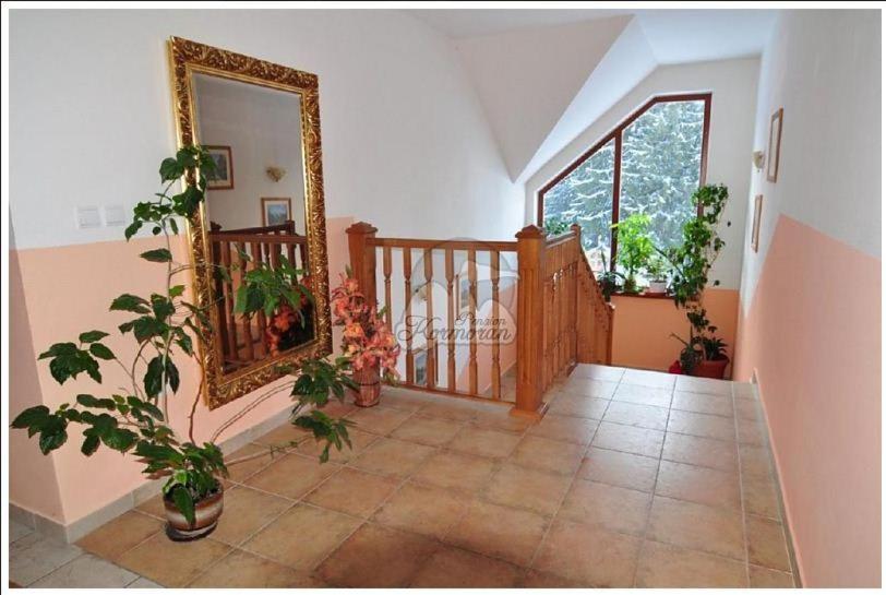 膳宿费 Penzion Kormoran