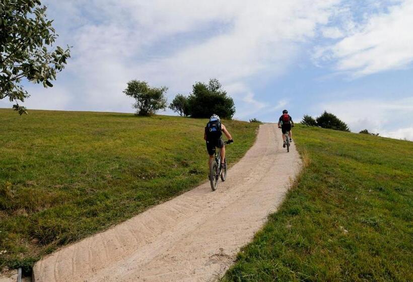 פנסיון Picchio Affittacamere