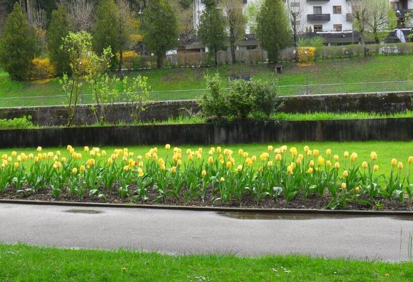 פנסיון Picchio Affittacamere