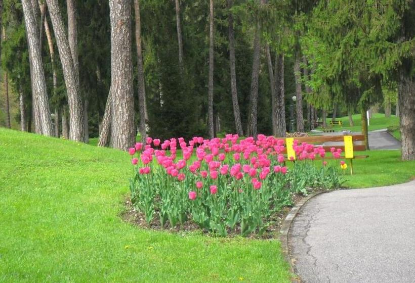 פנסיון Picchio Affittacamere