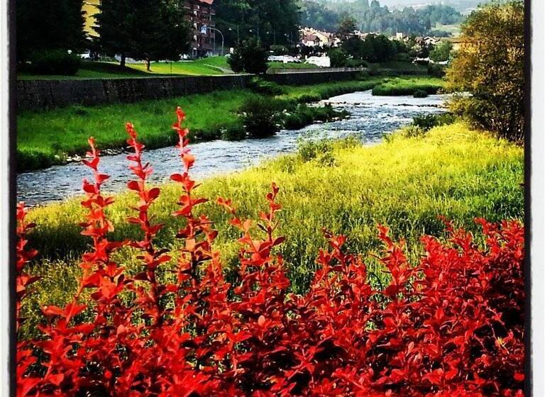 פנסיון Picchio Affittacamere