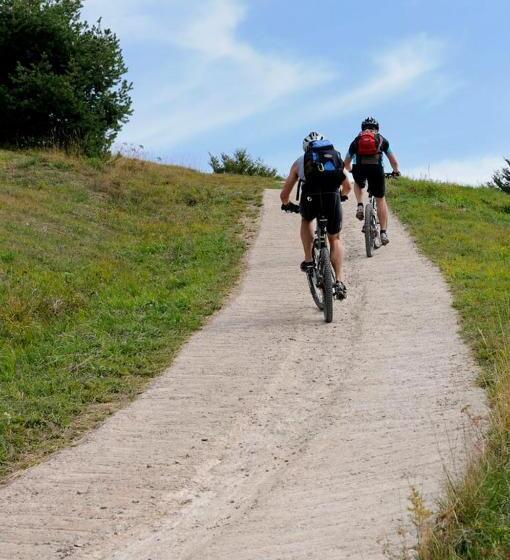 פנסיון Picchio Affittacamere