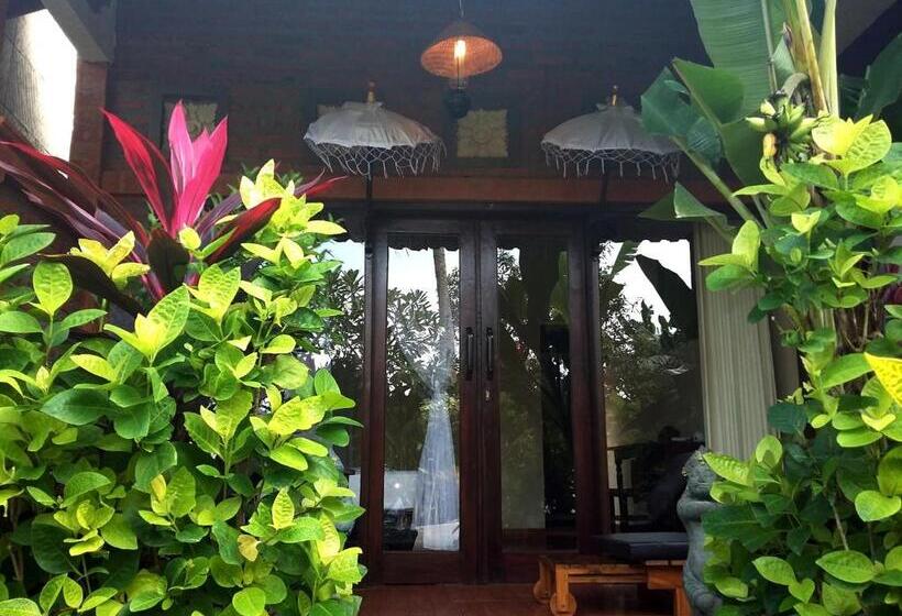 פנסיון The Sari Bungalows