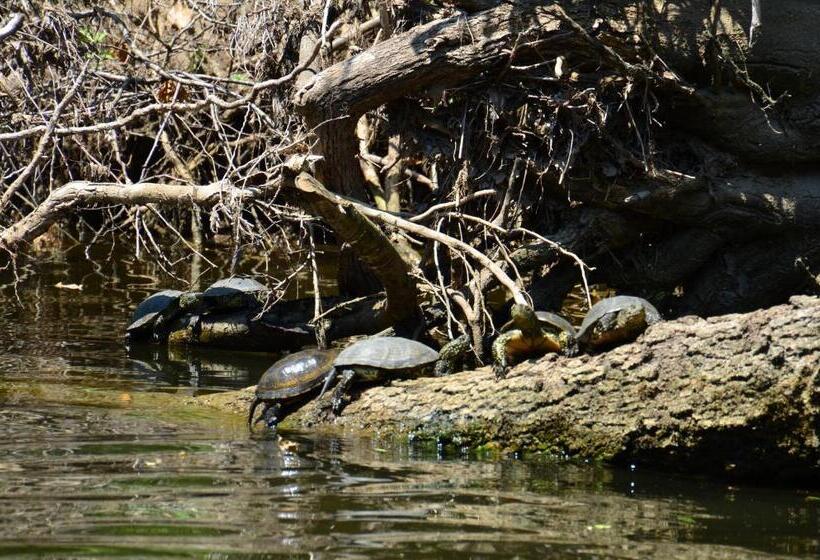 Пансион Zapovedni Rai