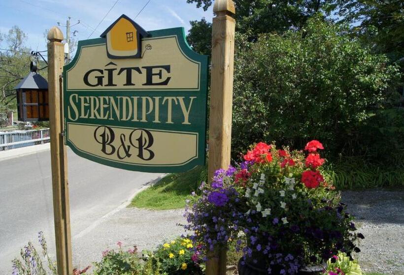 Serendipity B&b