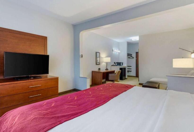 ホテル Comfort Suites