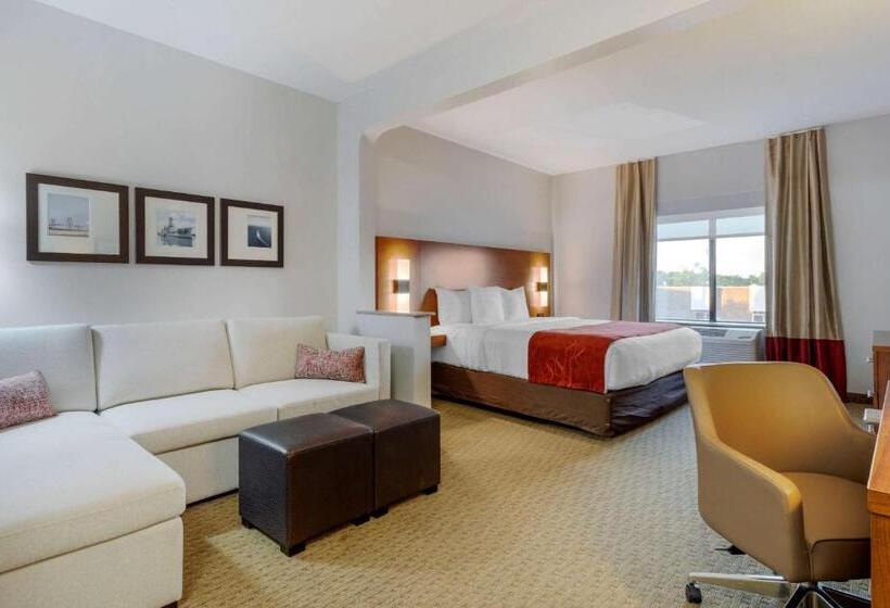 בית מלון כפרי Comfort Suites