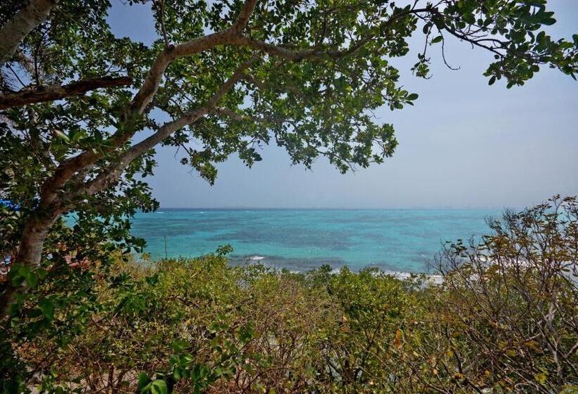 酒店 La Joya Isla Mujeres