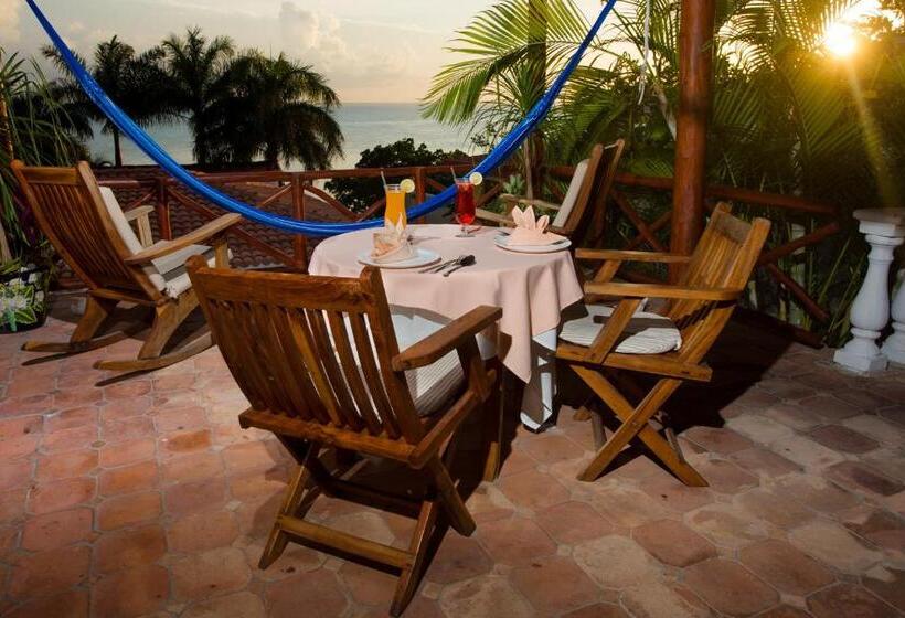 酒店 La Joya Isla Mujeres