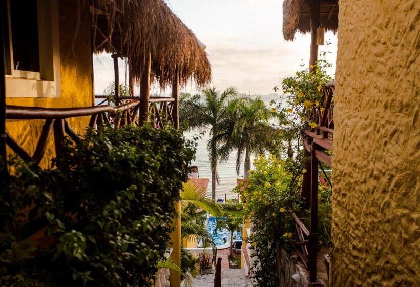 酒店 La Joya Isla Mujeres