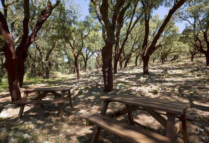 ペンション Casa Do Ze Sapateiro