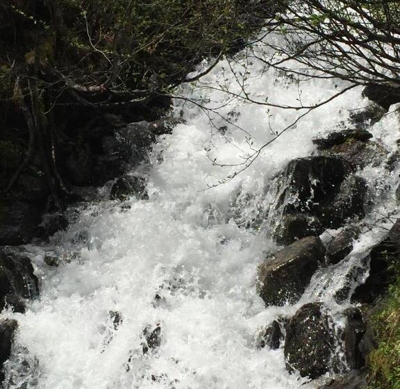 ペンション Gästehaus Bruggerhof