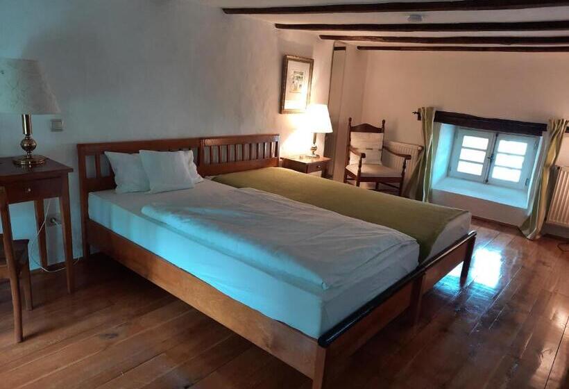 بنسيون Maternushof