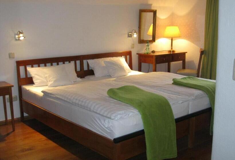 بنسيون Maternushof